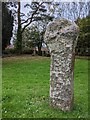 Old Wayside Cross