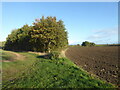 Fields near North Piddle