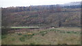 Carse below Gargunnock Hills