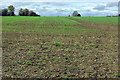 Farmland at Haversham