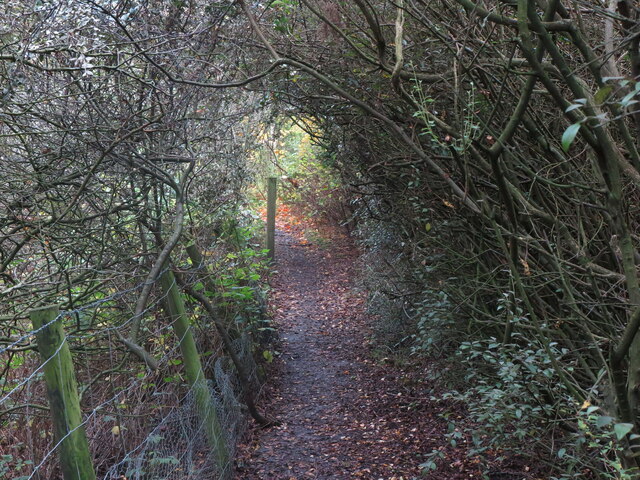 Footpath, Beaumont Park, Whitley Bay
