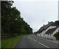 Thatched houses in Frampton