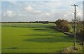 Farmland south of Ryther