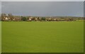 Farmland south of Ryther