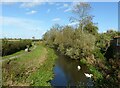 Grantham Canal towpath near Hose