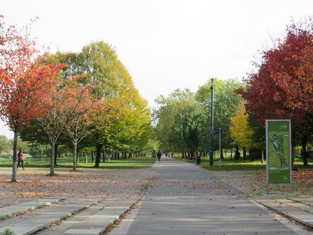 Autumn colours in Burgess Park