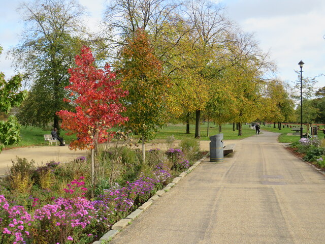 Autumn colours in Burgess Park
