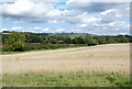 Farmland near Netherton Farm