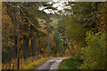 The B864 in Achany Glen, near Lairg, Sutherland