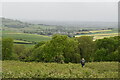 SZ5678 : Looking to Wroxall from Wroxall Down by N Chadwick