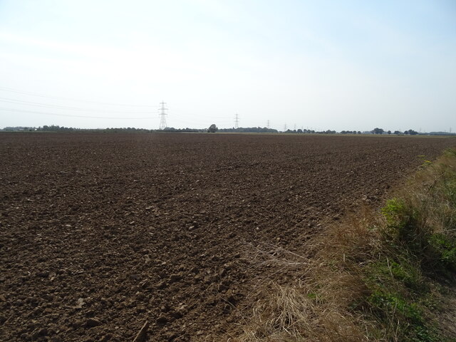 Field off Fenditch Lane