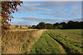 Footpath leading away from Wheatsheaf Lane, Wrabness