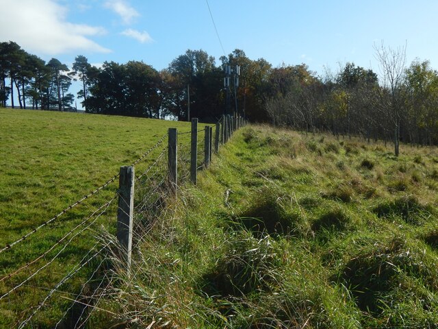 Field boundary fence