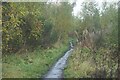 Path near Toton sidings