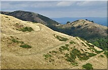 SO7640 : Herefordshire Beacon - Iron Age Ramparts by Colin Smith