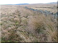 NS8625 : Fence and wall on Middle Muir by Chris Wimbush