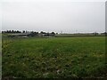 Farmland at Letterickhills Farm