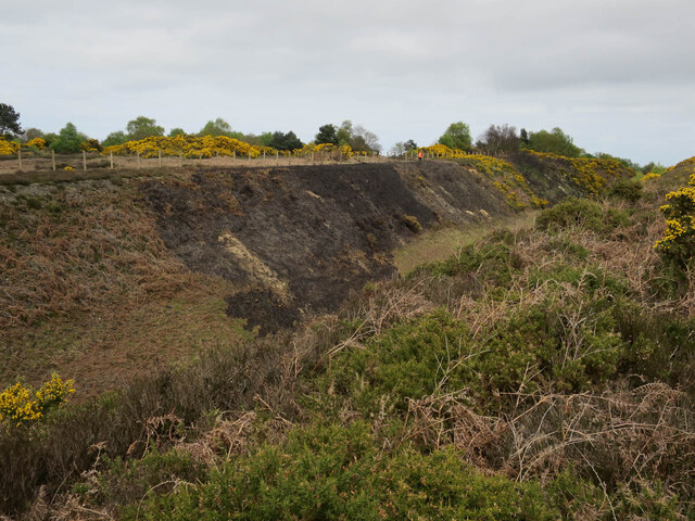 Kelling Heath, North Norfolk - area information, map, walks and more