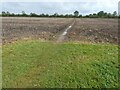 ST5326 : Muddy path across field, Lytes Cary estate by David Smith