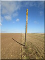 TA0574 : WW2  Anti  Glider  Posts  across  wold  top by Martin Dawes