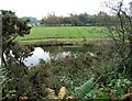 Fishing pond beside Outputs Lane