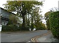 Looking from Hollybank Road into Oakcroft Road