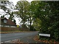 Looking from Hacketts Lane into Old Woking Lane