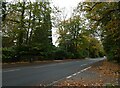 Looking from Blackdown Avenue into Old Woking Road