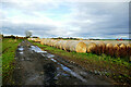 NZ1910 : Straw bales by Scots Dyke track by Andy Waddington