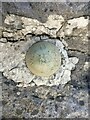 Ordnance Survey Benchmark Bolt