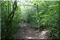 Path above Langlee