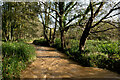 An un-named stream heading towards Fremington Pill