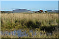 Looking towards Ballochburn