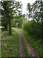 Bridleway heading south