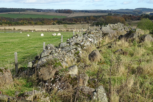 Old Field Dyke