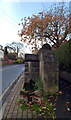 Horse trough, Park Row, Knaresborough