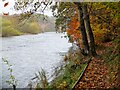 Borders Abbeys Way near Tweedbank