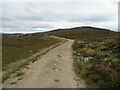 NH9937 : Moorland track heading towards Easter Limekilns by Peter Wood