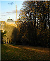 Muswell Hill : Alexandra Palace