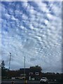 Mackerel sky above the Cherry Tree 