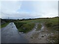 Road at the edge of the moor, Frenchbeer