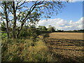 SP8273 : Field edge near Highcroft Farm by Jonathan Thacker