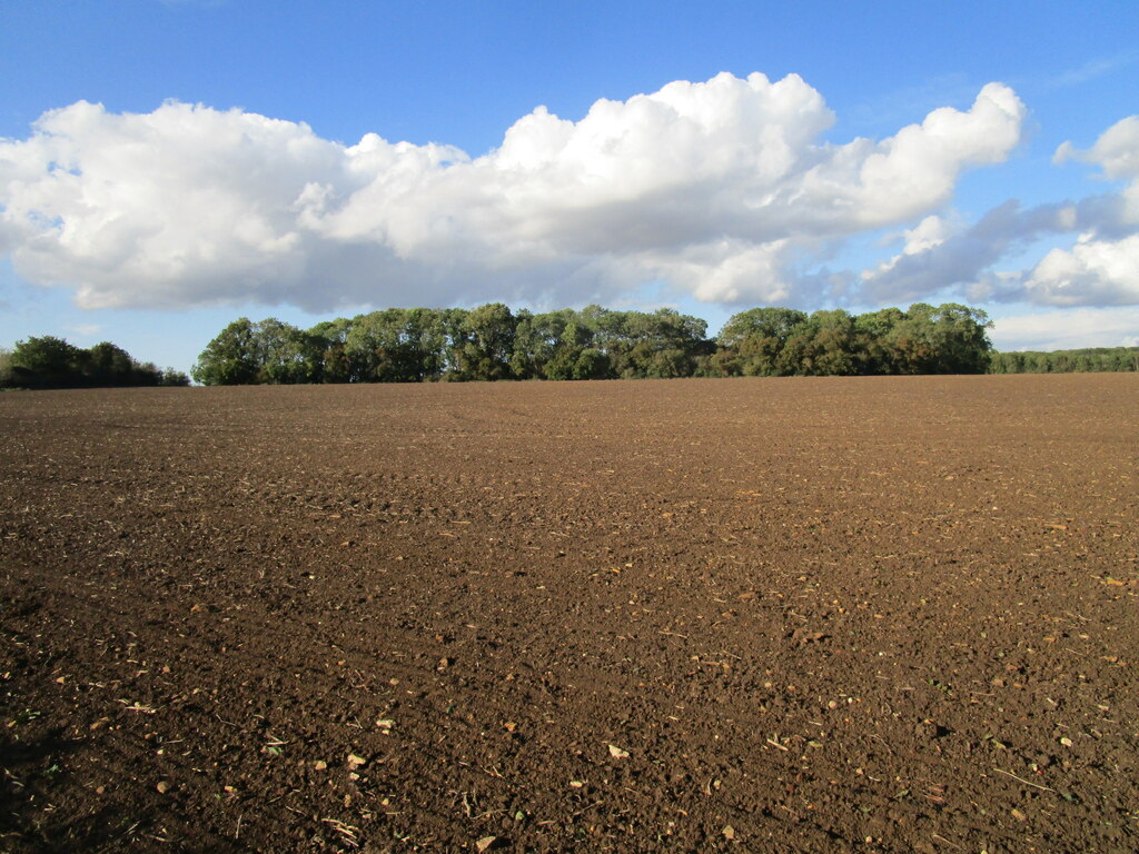 Prepared field and Stonegrove Spinney © Jonathan Thacker cc-by-sa/2.0 ...