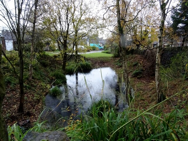 Small pond near Delph Lane