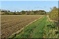 Field and grassy path north of Arlesey