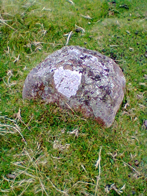 Old Boundary Marker by disused railway, north of Stanhope