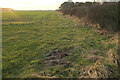 NU2324 : Grass field near High Newton-by-The-Sea by Derek Harper
