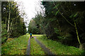 Minor Forestry track on Pennington Rake