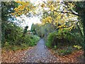 Railway Path