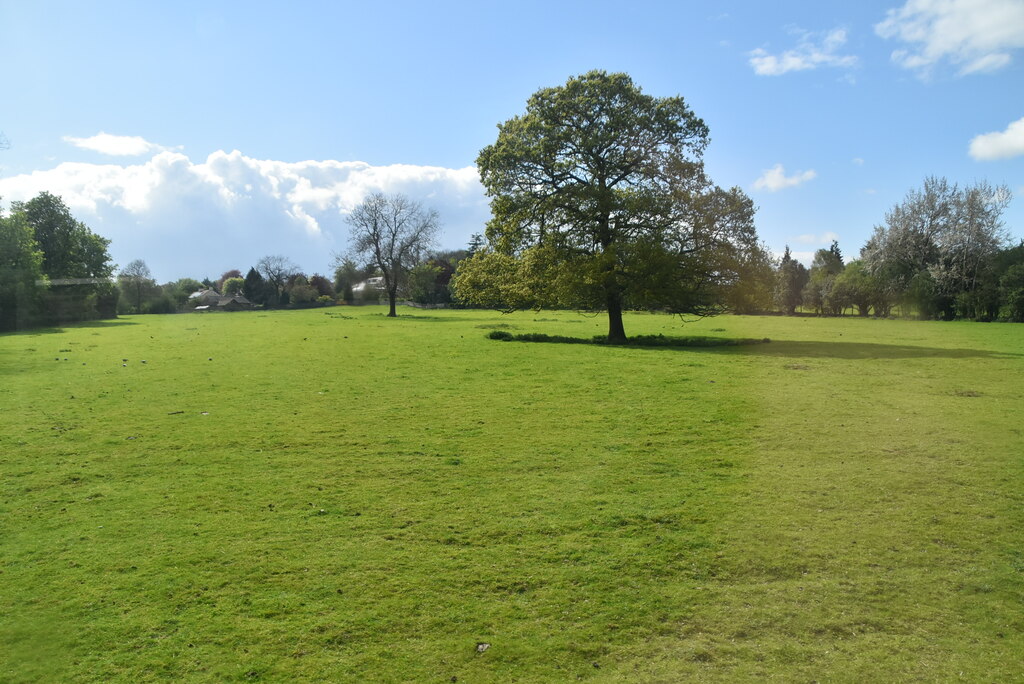 Tree in field © N Chadwick cc-by-sa/2.0 :: Geograph Britain and Ireland